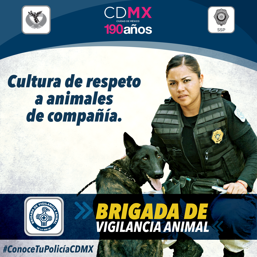 dormitar nudo intimidad SSC CDMX on Twitter: "La Brigada de Vigilancia Animal atiende sus denuncia  en materia de maltrato animal a través del CAS Tel. 5208 9898.  http://t.co/jxCOGsFDiy" / Twitter