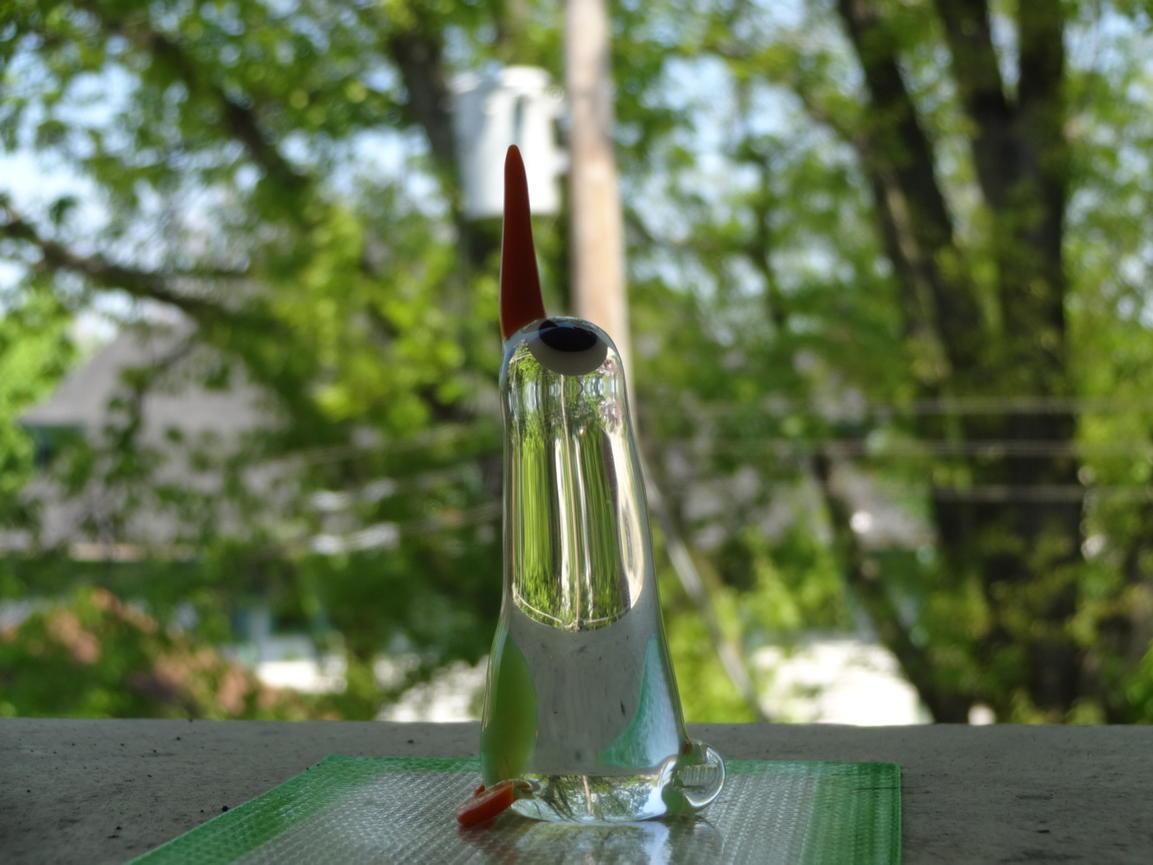 NBSmovement's tweet image. Good morning !!! Out here with my #chakaglass ... Good day for outdoor dabs!!! #naturalbornstoner #NBSmovement