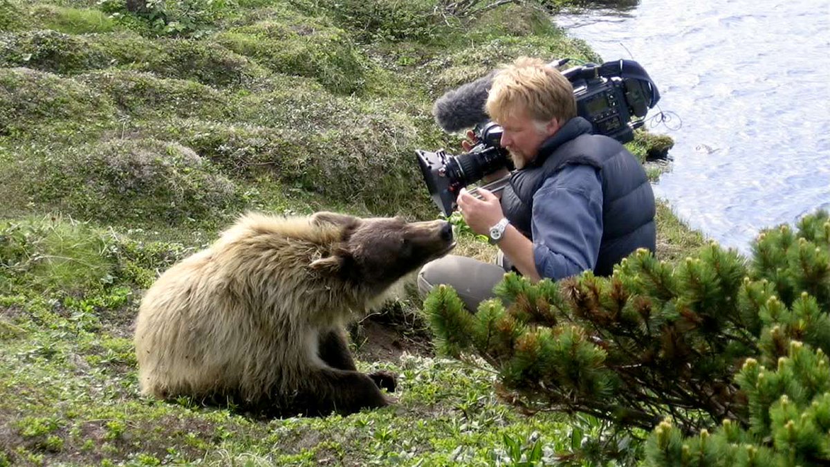 WildCanadaDoc's tweet photo. "Working with bears is all about mental respect." #WildCanada filmmaker Jeff Turner http://t.co/oLCQwoYEzg http://t.co/jWg3HSMrw7