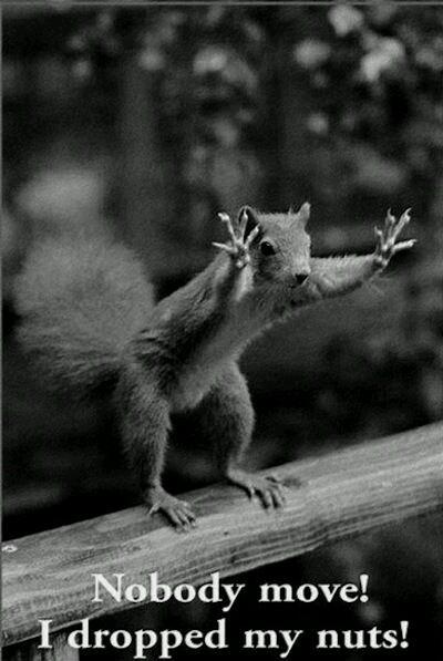 Animal_Loverr's tweet photo. Hahaha it's cute.... ^^ http://t.co/1sXIb4JQvz