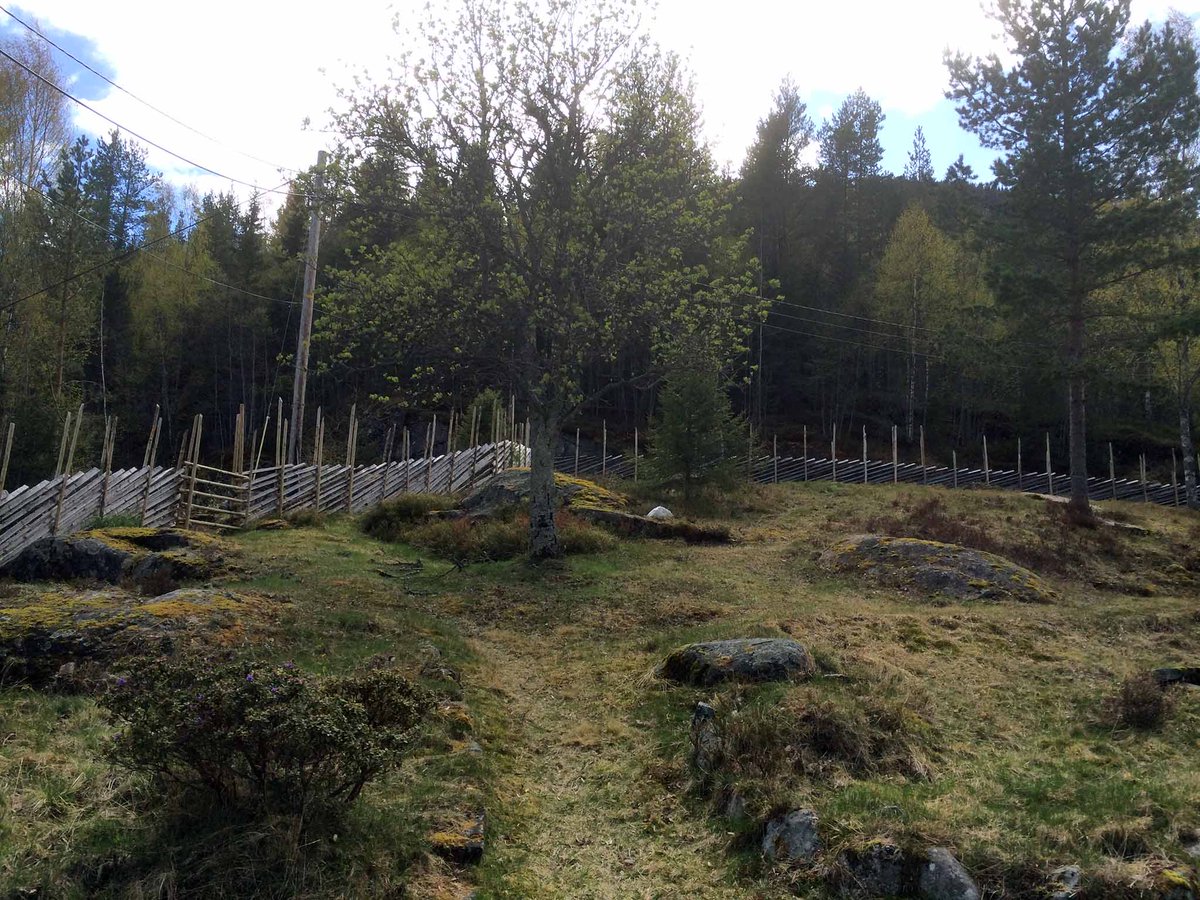 Tekstgården tweet media