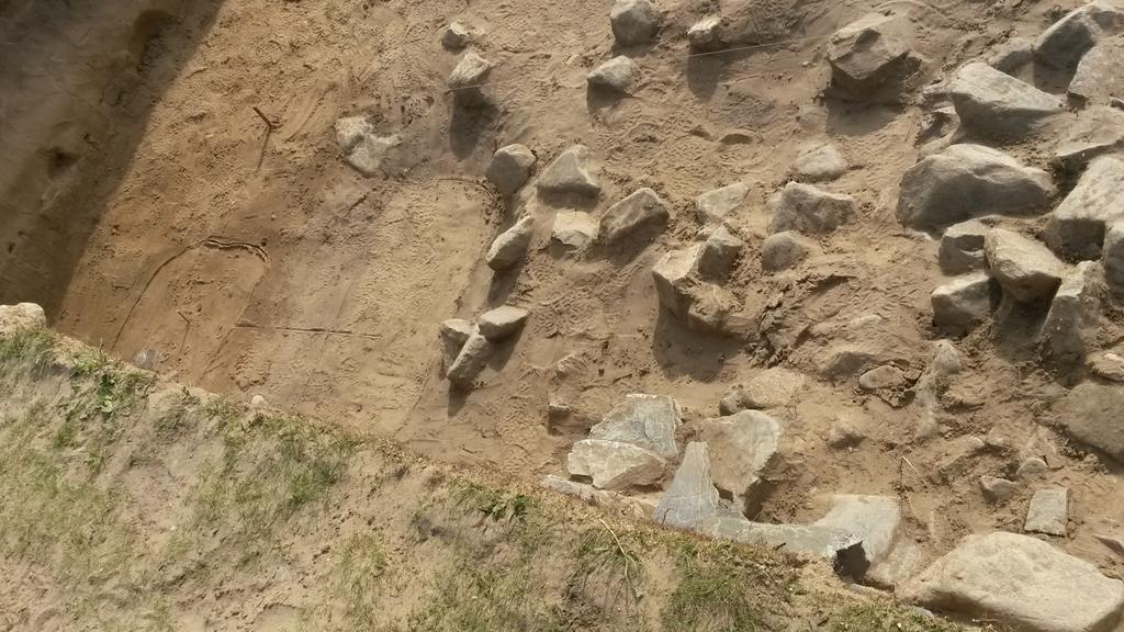 KatieAHemer's tweet photo. Today we revealed 3 cist burials and outline of 2 dug graves - getting exciting! #stpatrickschapel @DyfedArch http://t.co/r3XpRHIJKT