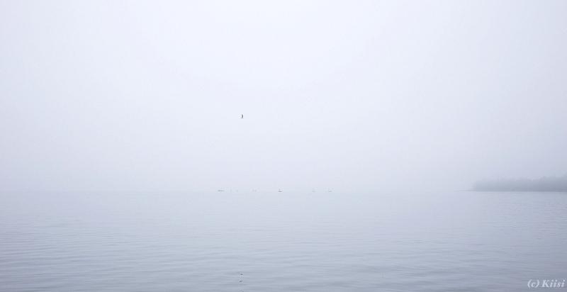 KiisiT's tweet photo. Kelissä kun kelissä... #optaritreenit #optari #haukilahti #hyvinnäkyy #sumu #fog #espoo #canonkevät #weather http://t.co/IV3IfCKGxi