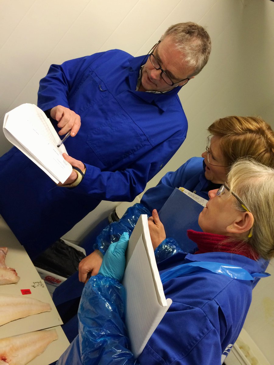 QualiFish's tweet photo. Conducted a thawing experiment at @SINTEF with @MatisQP and @NIFESinfo on #cod #QualiFish @forskningsradet @fbfi http://t.co/yyn6JOlcZT