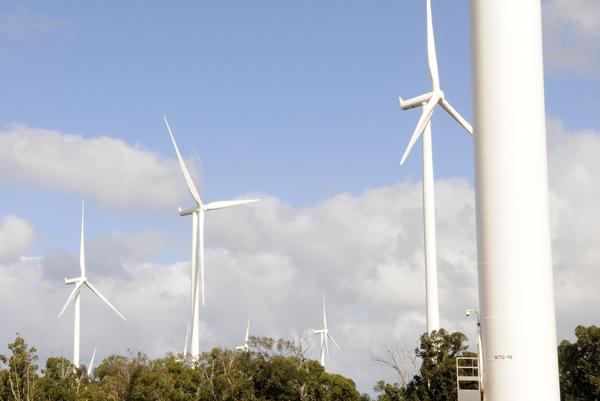 citizensclimate's tweet photo. Aloha! Hawaii legislature sets 100% renewable energy goal for the state http://t.co/1WFqzeXbvO http://t.co/HWV7ak26q7