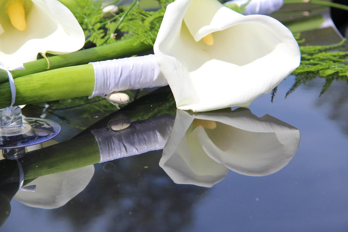 4. kursa floristes pēc kvalifikācijas prakses, gatavojot kāzu mašīnu dekorus. Skolotāja Ineta Ozoliņa - Skrūzmane.
