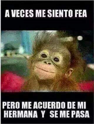 almudena_tirado's tweet photo. @v_tirado jajajajjajajajajaja 😂😂😂😂 http://t.co/mqTiyYQK2o