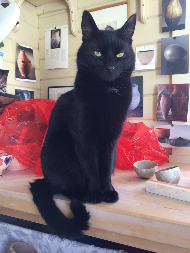kb_ceramics's tweet photo. Dangerously close... Mojo is also #backintheshed http://t.co/oqogWpTvnl