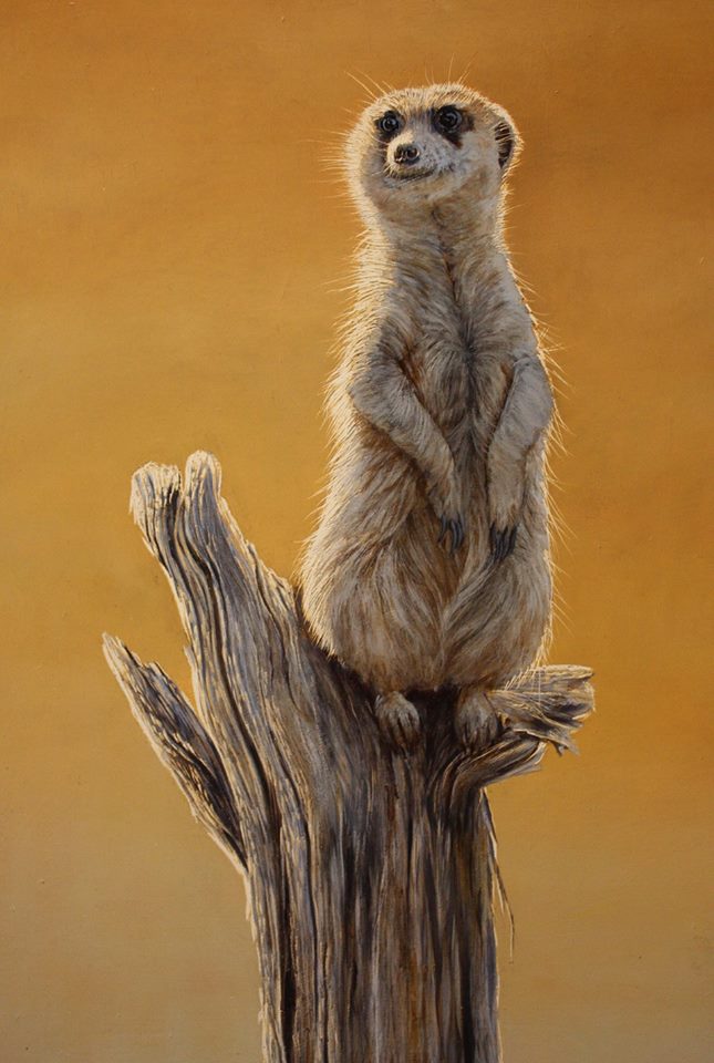 This Saturday #MadeInShropshire #FairInTheSquare #Shrewsbury Town Square, all day.