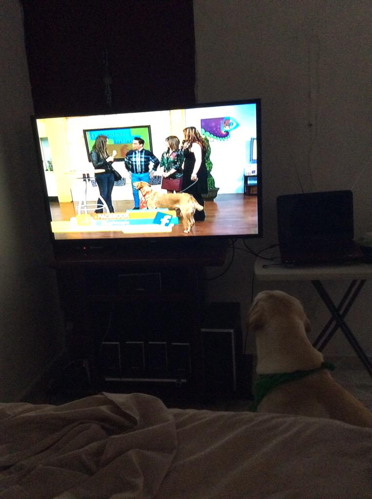 JKNetizen's tweet photo. @odioodiarr @SoyMateito hasta mi perro Ruffo estaba atento a verles #colores http://t.co/2uW5KONlxW