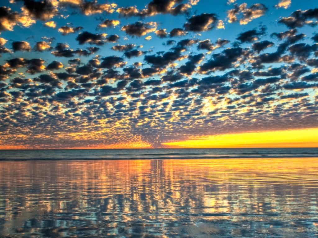 Western Australia tweet media