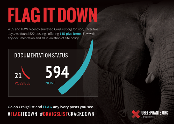 TheWCS's tweet photo. Craigslist "prohibits" ivory sales, but it's up to their users to enforce! Is there ivory in your city? #FlagItDown! http://t.co/aGE2Qf41jn