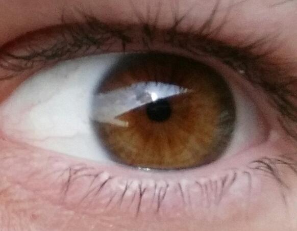 menadnpng's tweet photo. Watching you. @365ninja http://t.co/8b5FlMUX5T