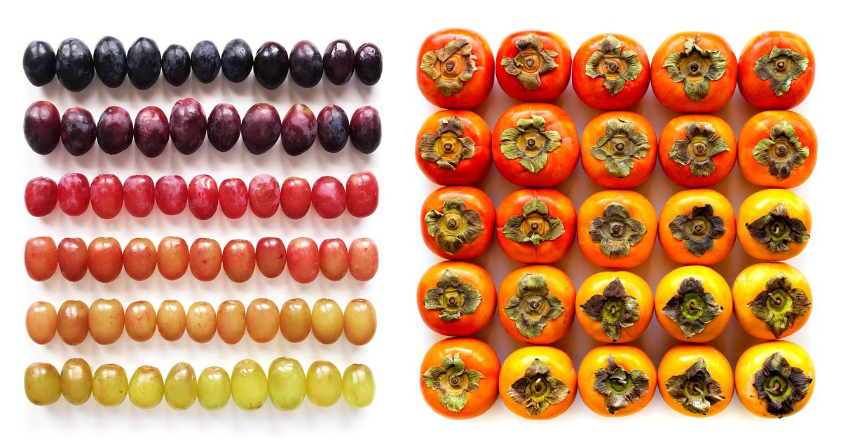 pantone tweet picture