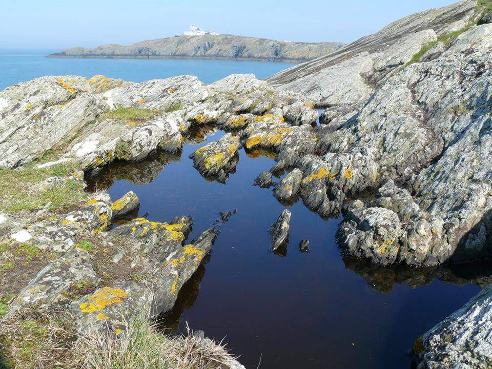 BullBayhotel's tweet photo. Views of costal path , bullbay. http://t.co/hgUI86RZwC