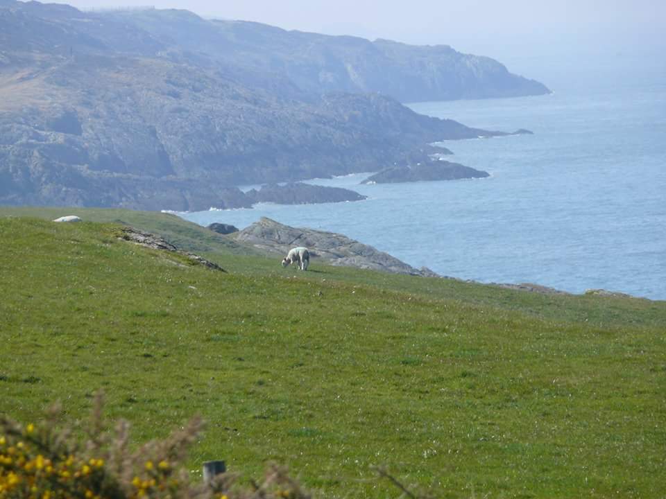 BullBayhotel's tweet photo. Views of costal path , bullbay. http://t.co/hgUI86RZwC