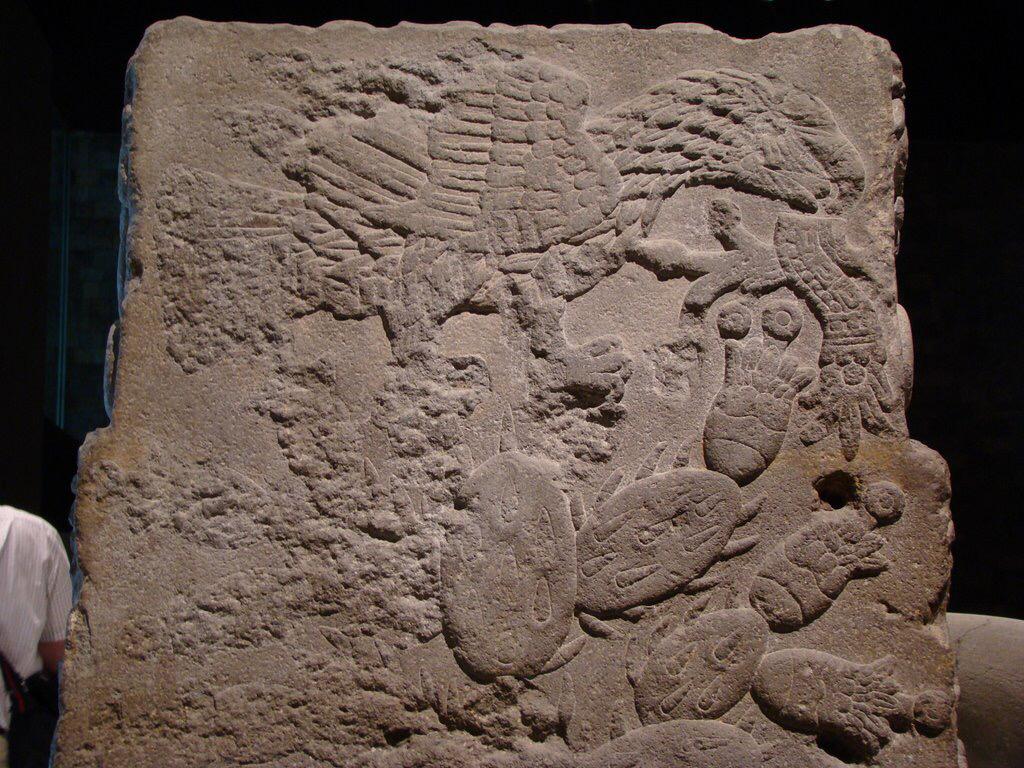 Cuauhtemoc_1521's tweet photo. Una de las pocas representaciones del águila parada sobre un nopal de origen mexica, el origen del escudo nacional http://t.co/Dv8LvVwj82
