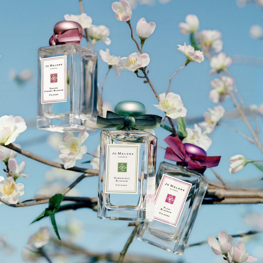 zooyeon's tweet image. #조말론 블루스카이앤리미티드 코롱콜렉션ㅡ이름부터 마음을 녹여버리는 사쿠라체리블러썸부터 복숭아향 자두향까지 세 가지 다 갖고싶다!! 섣불리 시향했다 지갑을 털어/털려버리는 건 아닐지&amp;gt;_&amp;lt;🌸💕 흑흑