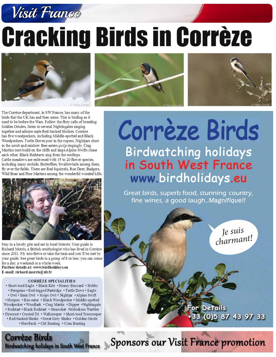 Correze Birds #birdwatching #birdholidays #france #frenchholidays