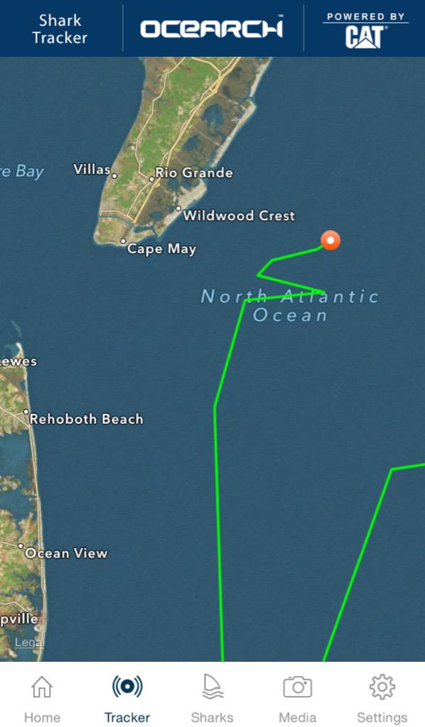 DanSkeldonWFMZ's tweet photo. "I think you're gonna need a bigger boat."  Great white shark off Wildwood, Track it here:
http://t.co/H340lGNcb2 http://t.co/VOgKu5LRSs
