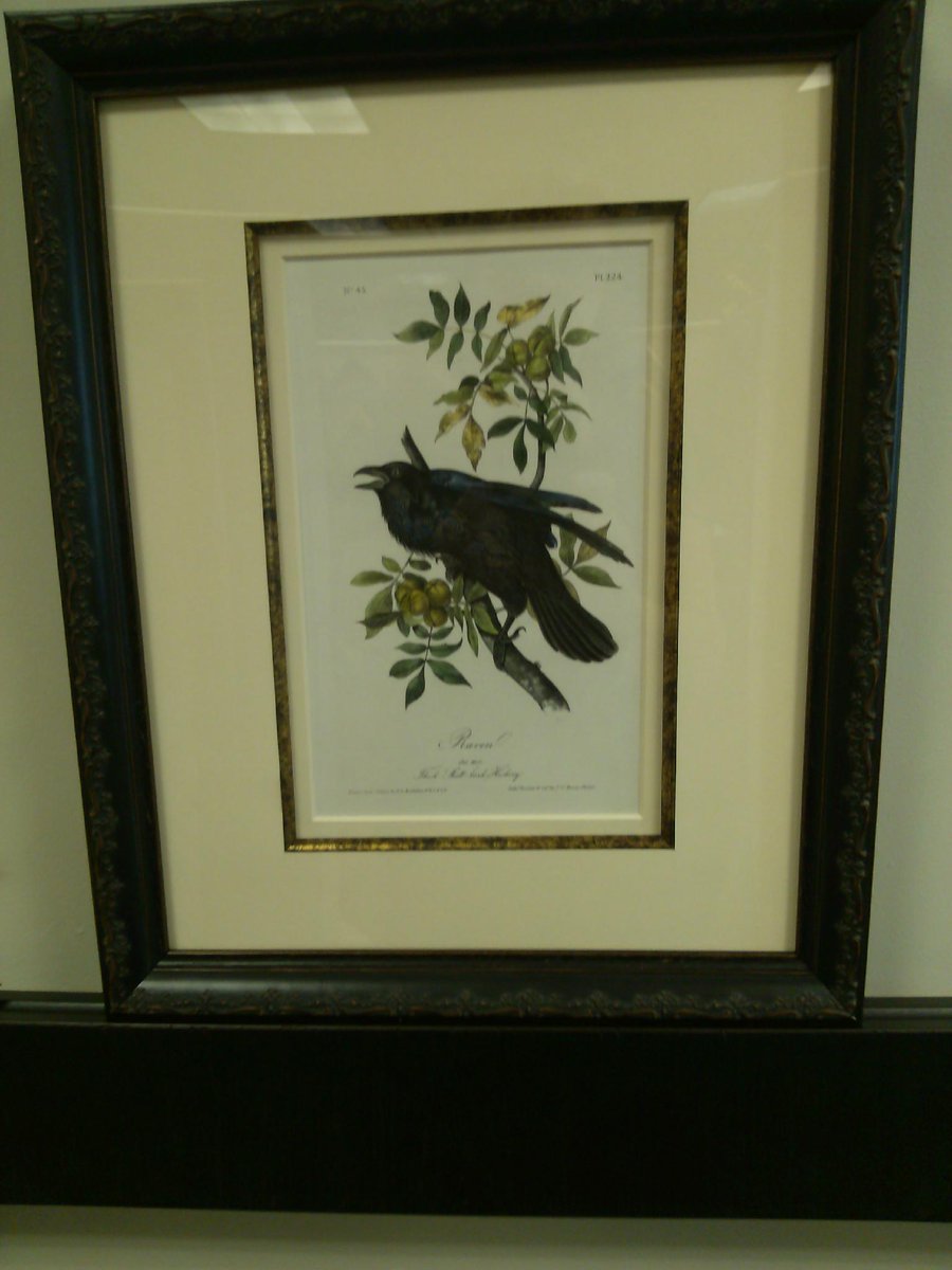 AudubonHouse's tweet photo. WE are going to miss our boy!  Off to a great new home! http://t.co/4L7KkGwcvh