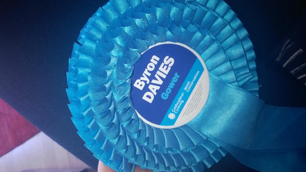 PippaJaneGreen's tweet photo. Final push to help secure Byron's seat in Westminster @WelshConserv #generalelection15 #gower http://t.co/bOnWL9om1V
