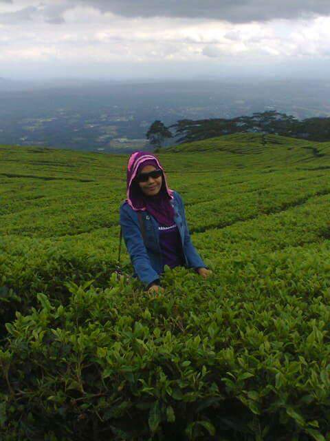 Orang_Sedeng's tweet photo. http://t.co/vv7hpfjmG3