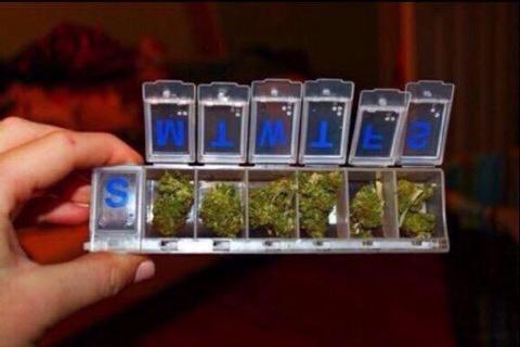 LegalizeGreenMJ tweet picture