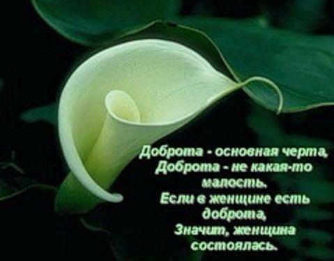 Rashida (@alhasova1676) on Twitter photo 
