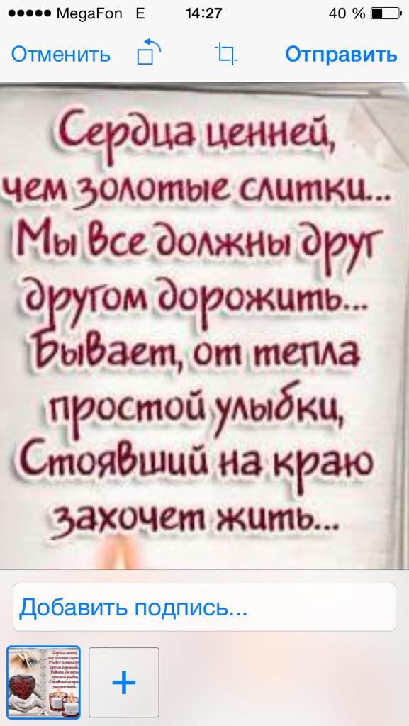 Rashida (@alhasova1676) on Twitter photo 