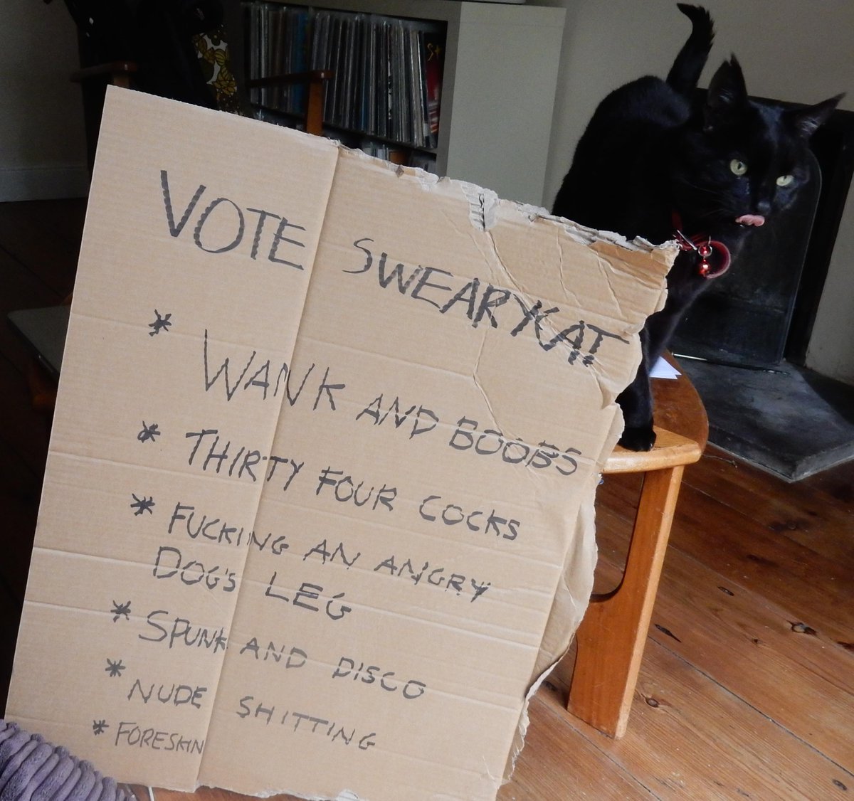 MYSWEARYCAT's tweet image. #voteswearycat