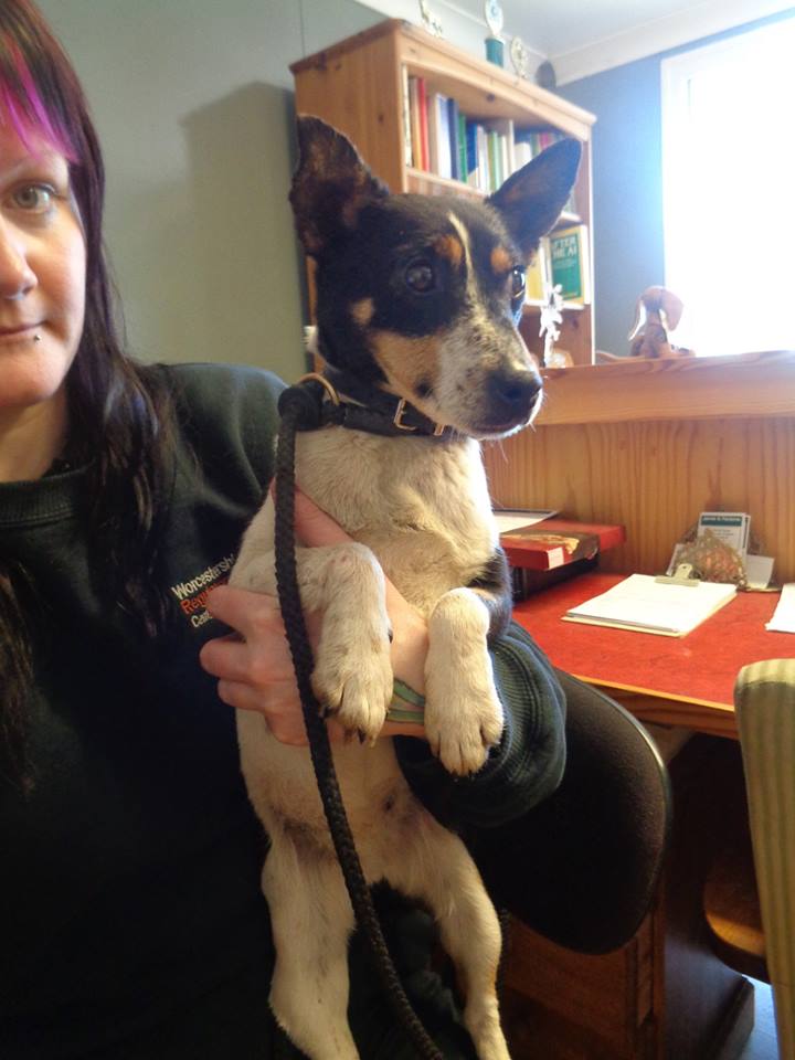 ALUK_org's tweet photo. oops! Forgot to attach Tidzy's picture! http://t.co/TBwFczKl4l