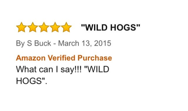 AmznMovieRevws's tweet photo. Wild Hogs. http://t.co/Fi54L3MUqD