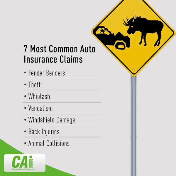 CAIQUOTE's tweet photo. 7 most common Insurance Claims in Youngstown OH
http://t.co/zwmSUGq0Kf
#youngstown OH http://t.co/vkGcxCcCrh