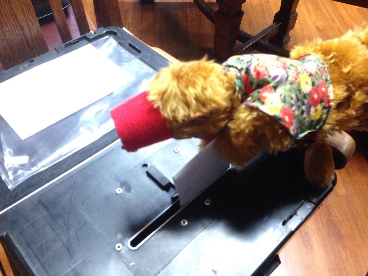 VoteForPuppet tweet picture