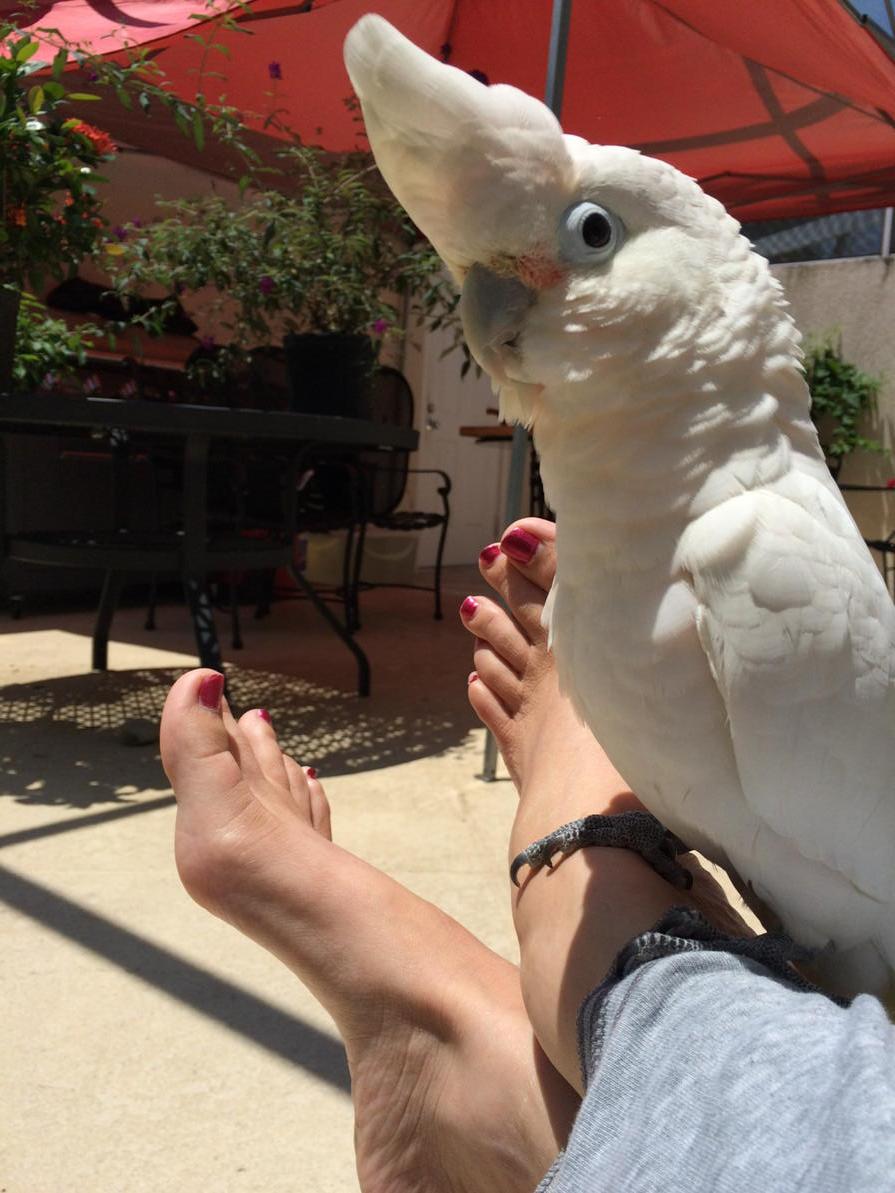 #withoutshoes #Toms... Do it! Instagram!