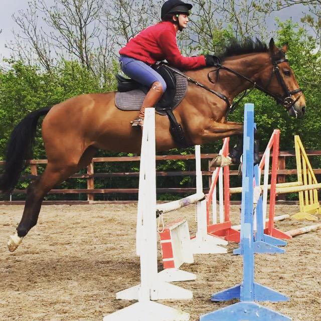 LucrorSH's tweet image. ❤️ my new @scsaddles jump saddle, feels so secure, service was super speedy too! Highly recommend!