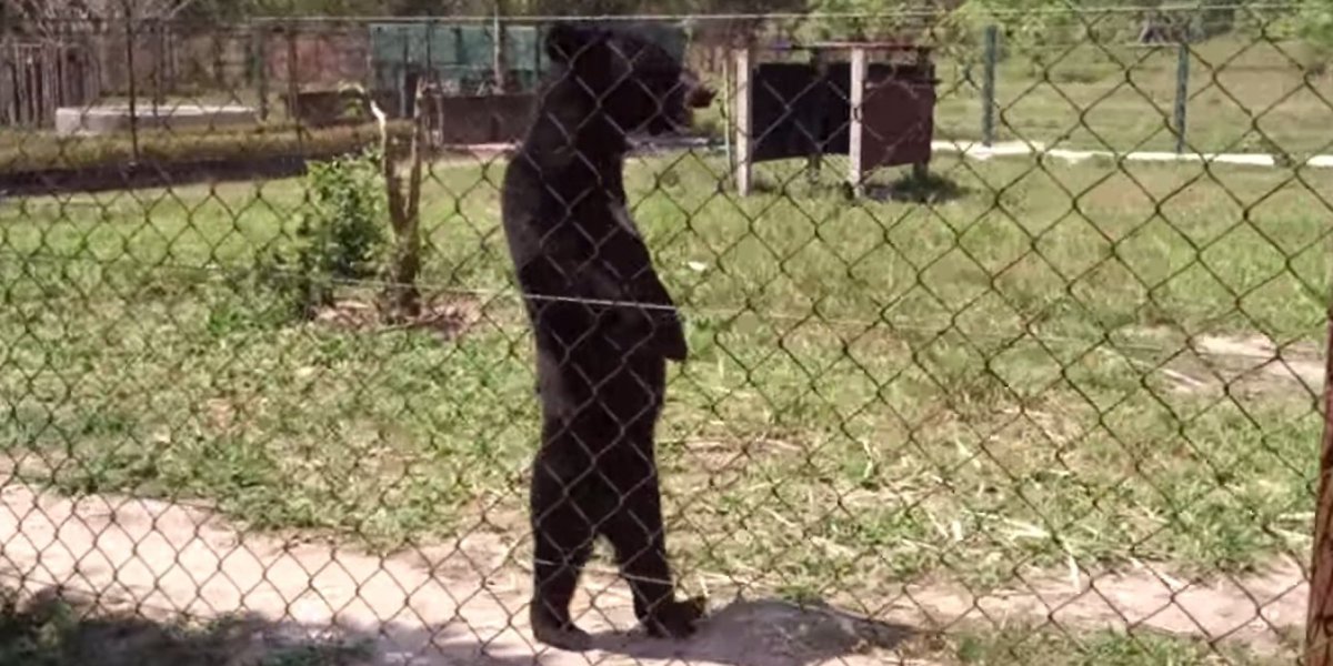 Water Cooler Jokes (wcjokes) Twitter