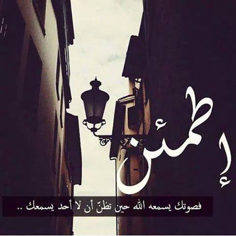 waled_ahmed233's tweet image. #LEDOO