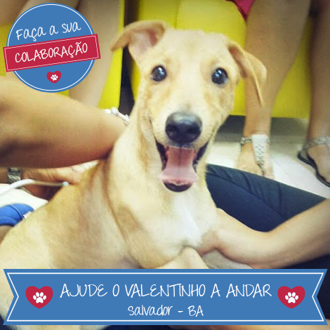 Bicharia's tweet photo. Faltam só 400 reais pro projeto do Valentinho. Vamos ajudar, né? :) http://t.co/Jj5gwmpUGn http://t.co/BJkQmDxx02