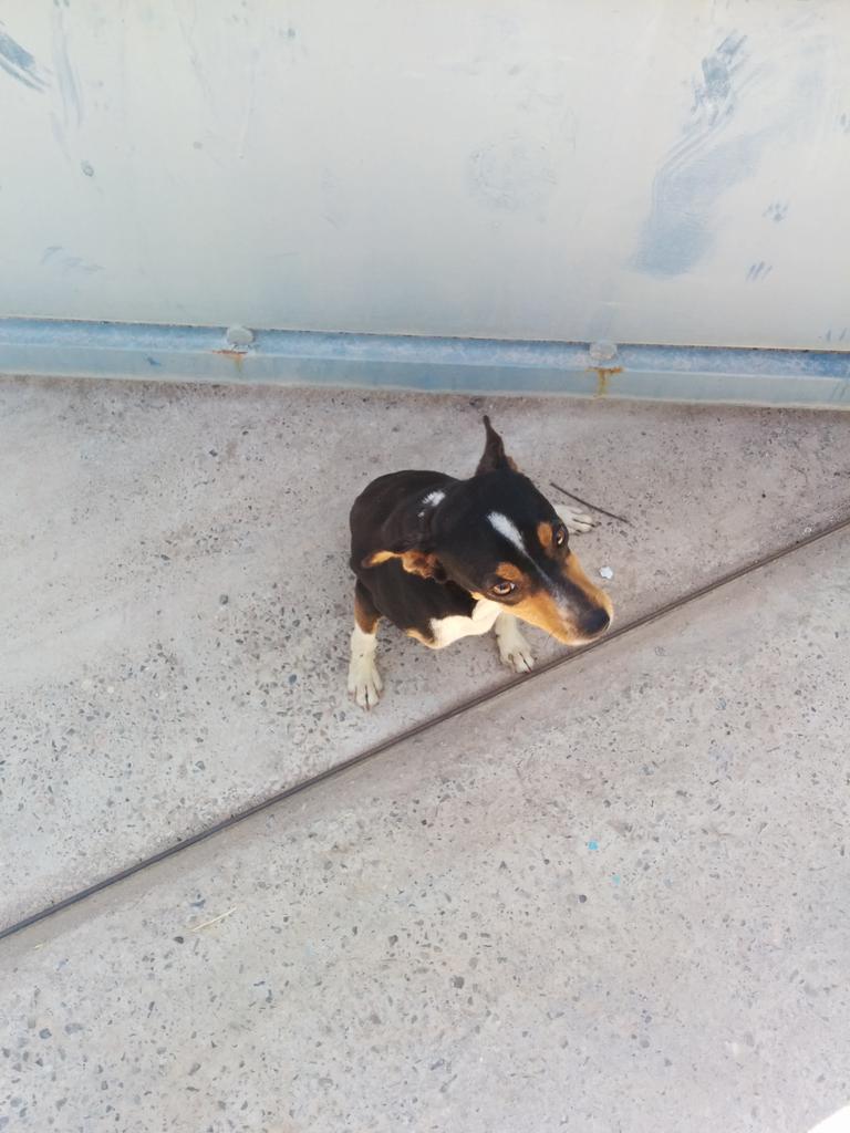 cgdfhvxry's tweet photo. Encontrado en Burriana http://t.co/RIXttQ8sAa
