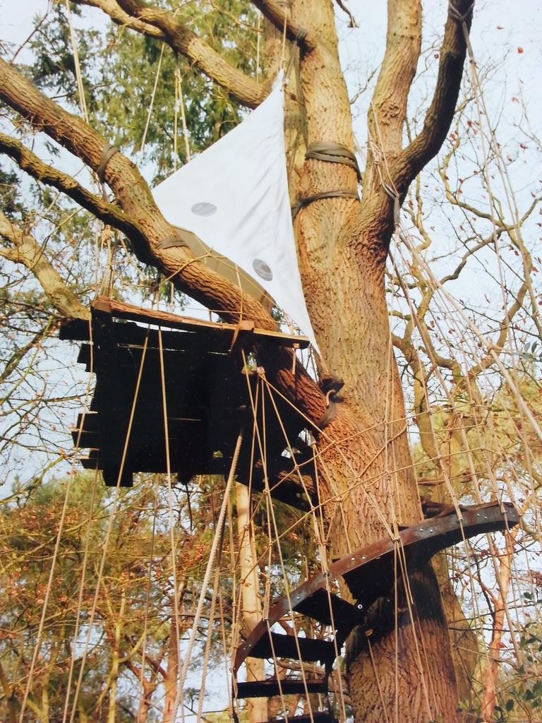 k'heb mooi tentje gemaakt op de tuin-trap-hut van Chiel Kuijl
<a href="/DochterVanChiel/">de dochter van Chiel</a> &amp; <a href="/sachawendt/">Sacha Wendt</a>