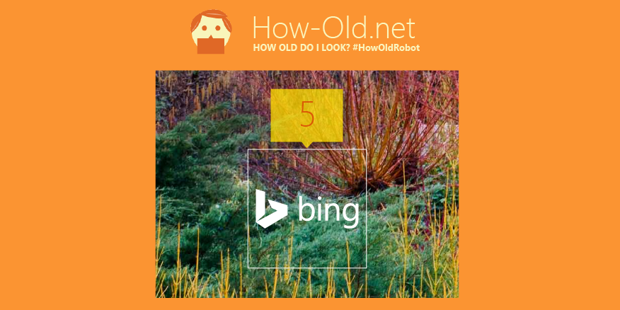 bing's tweet photo. It's nice of #HowOldRobot to round down! See how old you look on the Bing iPhone app. http://t.co/cEDSK1slOu http://t.co/yiCWvyUmes