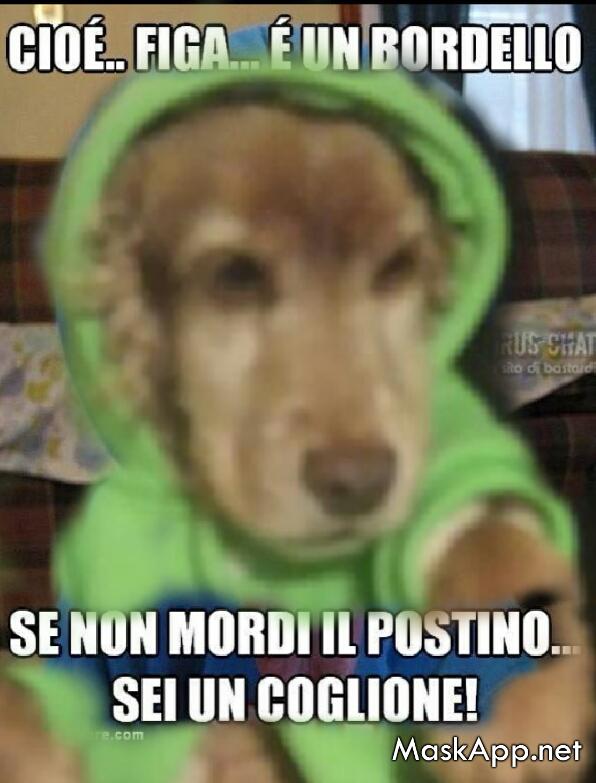 vanborgo80's tweet photo. Non ci sono più i cani di una volta! http://t.co/yQHXSY36ii