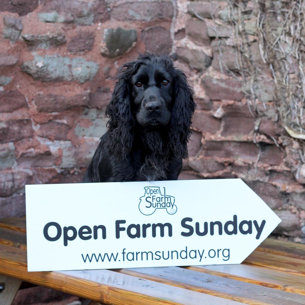 1 month to go until we open the Farm Gates for <a href="/OpenFarmSunday/">OpenFarmSunday</a>! #OFS15