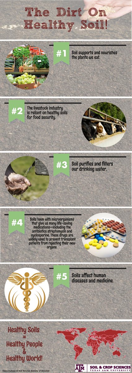 Healthy soils = Healthy people! Get the dirt on how soils are helping you by reading this infographic! #IYS2015