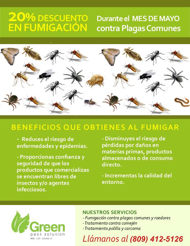Greenpestrd's tweet photo. Aprovecha nuestra gran #OFERTA durante el mes de #MAYO #GreenPestSolution #SantoDomingo #Santiago http://t.co/Fc1GdEIeRM