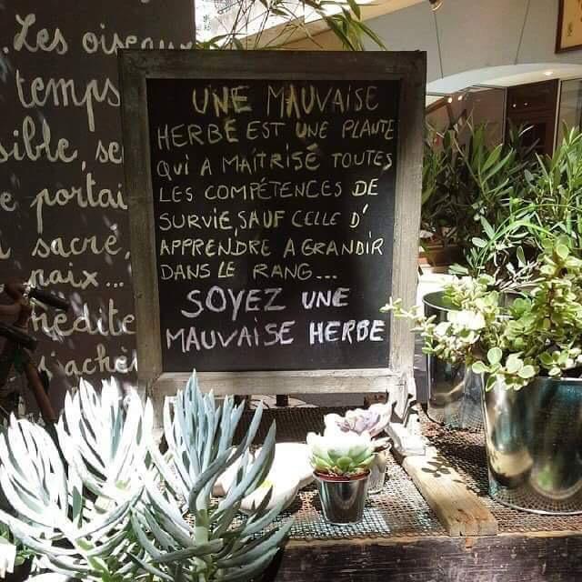 SabEnBzh's tweet photo. #SoyezUneMauvaiseHerbe http://t.co/vK9XuWiuob