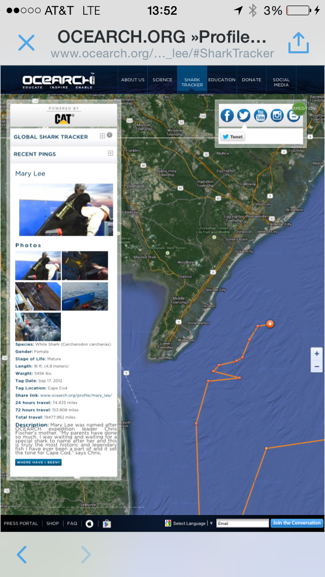 ComeDiveWithUs's tweet photo. Mary Lee, a 3,000lb great white tracked since 2012, has traveled from FL to NJ. Follow her at @MaryLeeShark http://t.co/nwCuYFjpUh
