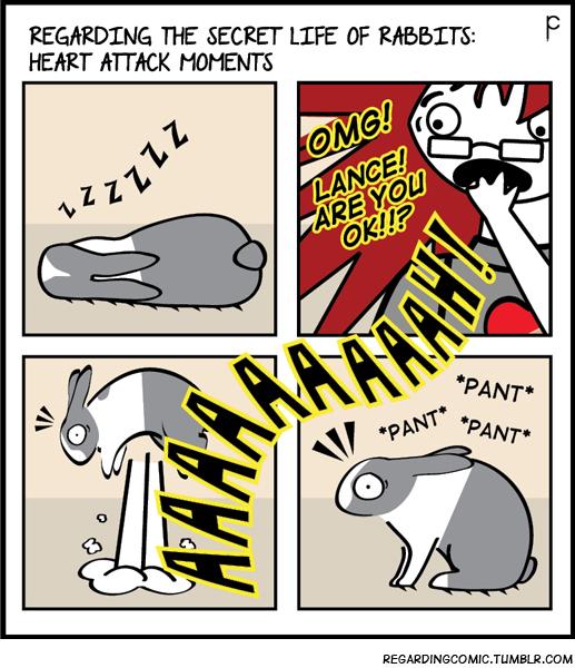 amadeus_pluis's tweet photo. @Zorrothebun http://t.co/EgwY1kK3Gy